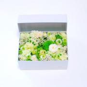 BOX����󥸥���