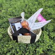  kaorisBALANCE  gift  | ̸