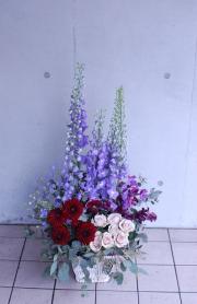 ˡ���͸�������󥸥���