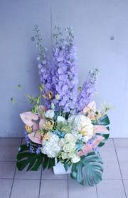 ˡ���͸�������󥸥���