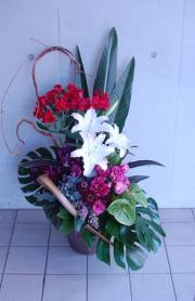 ˡ���͸�������󥸥���