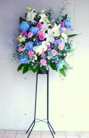 ������ɲ�