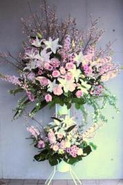 ������ɲ�