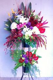 ������ɲ�