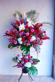 ������ɲ�