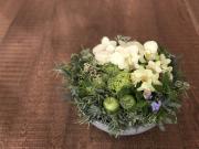 BALANCE ����󥸥���